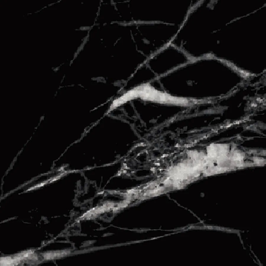Nero Marquina — BODAQ NS804